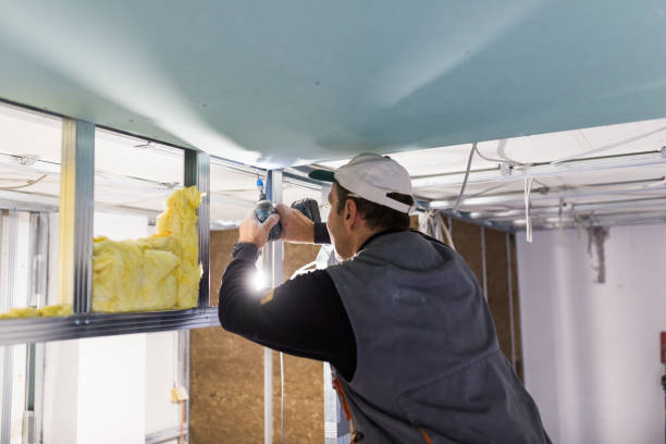 Best Professional Insulation Contractor  in Woodland Hills, UT