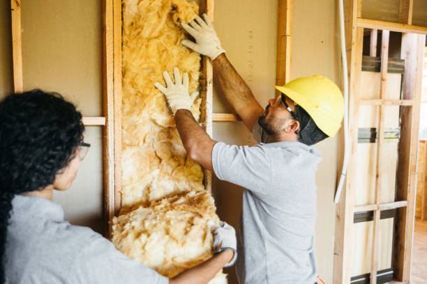 Best Best Insulation Companies  in Woodland Hills, UT