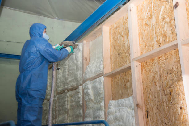 Best Spray Foam Insulation  in Woodland Hills, UT